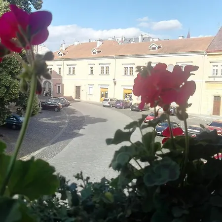 Na Rynecku